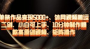 单条作品变现5000+、外网视频搬运二创,小白可上手,10分钟制作爆款高原创视频,矩阵操作【揭秘】-逐浪前行