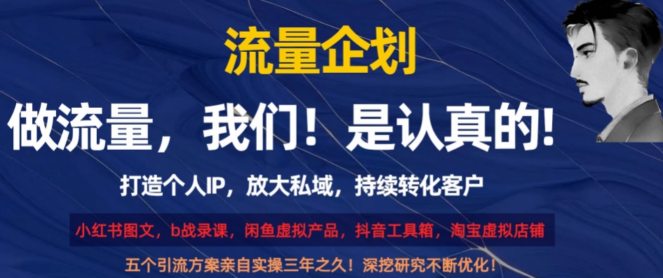 流量企划，打造个人IP，放大私域，持续转化客户【揭秘】-逐浪前行