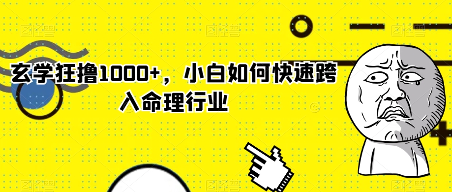 玄学狂撸1000+，小白如何快速跨入命理行业【揭秘】-逐浪前行