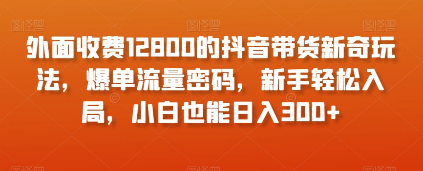 外面收费12800的抖音带货新奇玩法，爆单流量密码，新手轻松入局，小白也能日入300+【揭秘】-逐浪前行