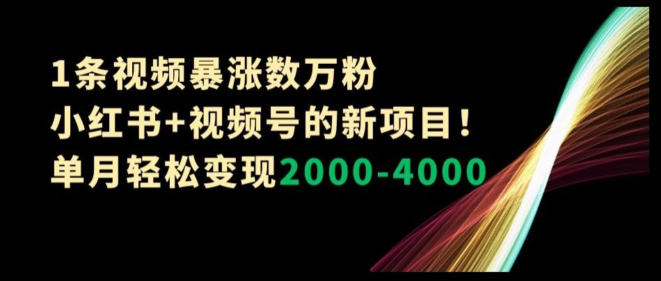 1条视频暴涨数万粉–小红书+视频号的新项目！单月轻松变现2000-4000【揭秘】-逐浪前行