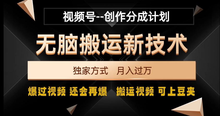 视频号无脑搬运新技术，破原创壕流量，独家方式，爆过视频，还会再爆【揭秘】-逐浪前行