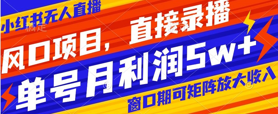 风口项目，小红书无人直播带货，直接录播，可矩阵，月入5w+【揭秘】-逐浪前行