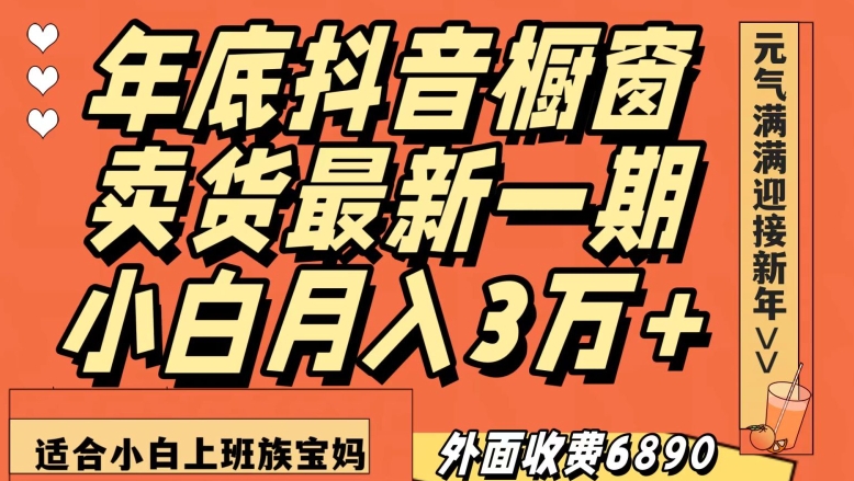 外面收费6890元年底抖音橱窗卖货最新一期，小白月入3万，适合小白上班族宝妈【揭秘】-逐浪前行