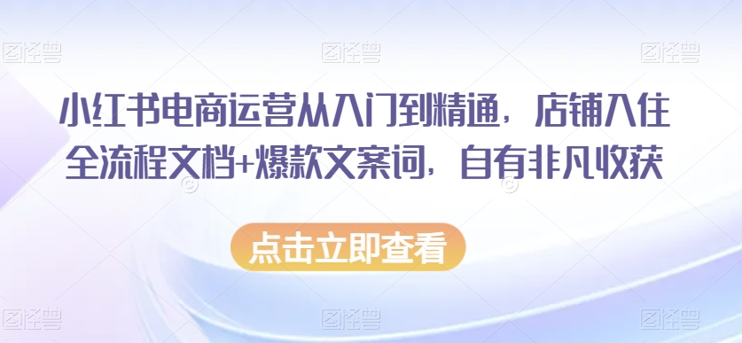 小红书电商运营从入门到精通，店铺入住全流程文档+爆款文案词，自有非凡收获-逐浪前行