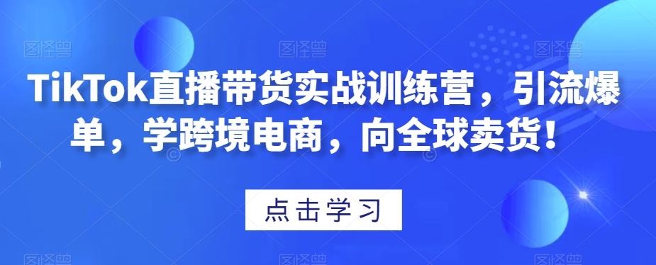 TikTok直播带货实战训练营，引流爆单，学跨境电商，向全球卖货！-逐浪前行