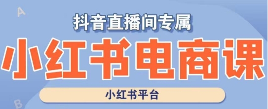 小红书电商高级运营课程，实操教学+案例分析-逐浪前行