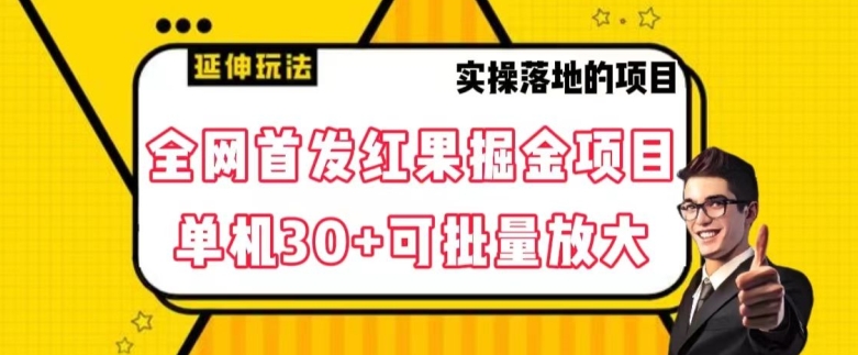 全网首发红果免费短剧掘金项目，单机30+可批量放大【揭秘】-逐浪前行