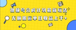 视频号最新爆火赛道玩法,只需无脑搬运,轻松过原创,单日收益上千【揭秘】-逐浪前行