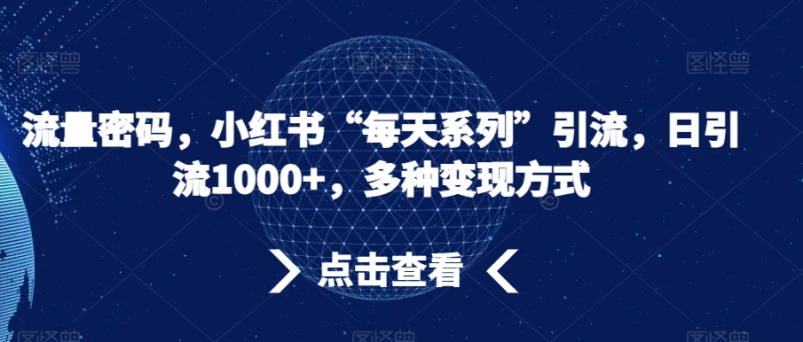 流量密码，小红书“每天系列”引流，日引流1000+，多种变现方式【揭秘】-逐浪前行