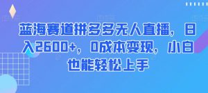蓝海赛道拼多多无人直播,日入2600+,0成本变现,小白也能轻松上手【揭秘】-逐浪前行