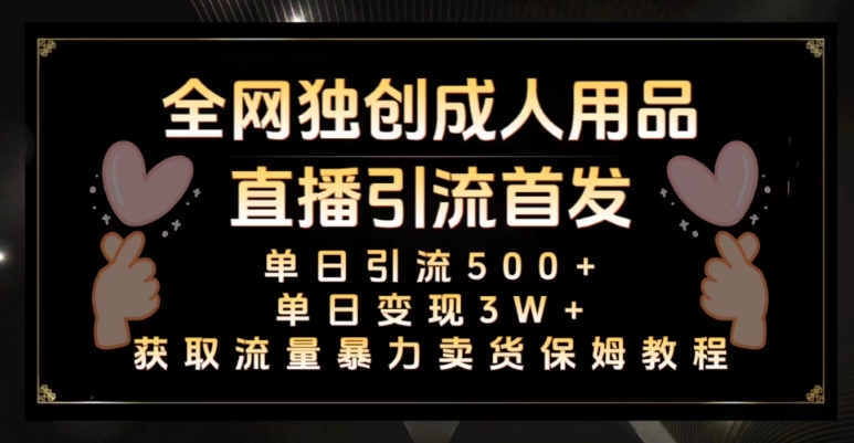 全网独创真人主播+无人直播单日引流500+，橙人用品暴力卖货单日变现3W+保姆似教学2.0【揭秘】-逐浪前行