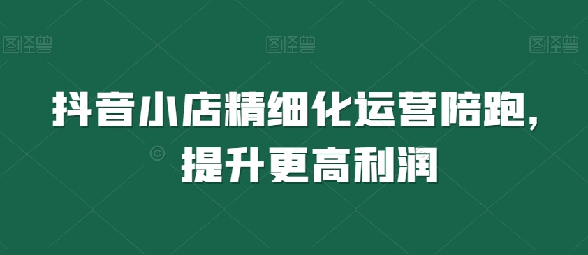 抖音小店精细化运营陪跑，提升更高利润-逐浪前行