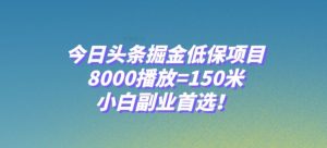 今日头条掘金低保项目，8000播放=150米，小白副业首选【揭秘】-逐浪前行
