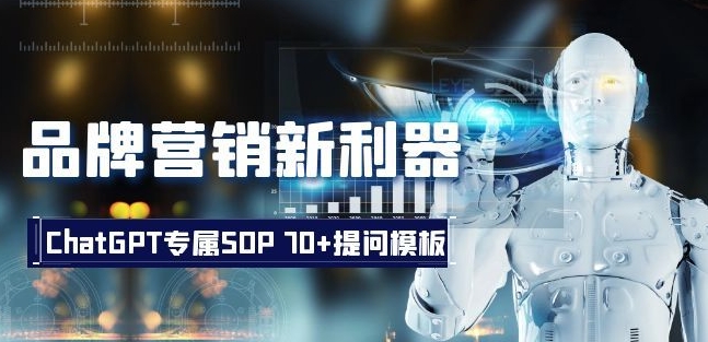 品牌营销新利器：ChatGPT专属SOP，70+提问模板【文档】-逐浪前行
