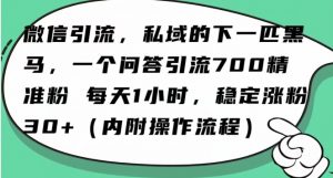 怎么搞精准创业粉?微信新赛道,每天一小时,利用Ai一个问答日引100精准粉-逐浪前行