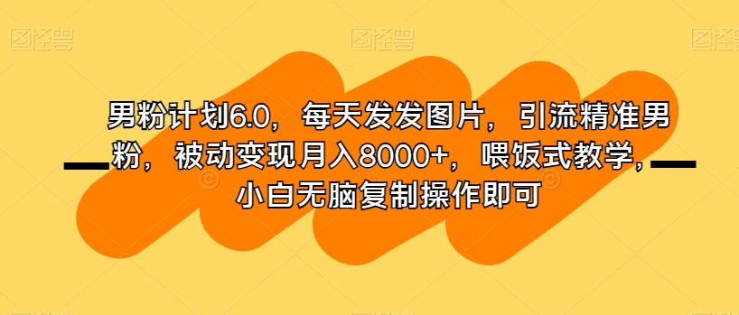 男粉计划6.0，每天发发图片，引流精准男粉，被动变现月入8000+，喂饭式教学，小白无脑复制操作即可-逐浪前行