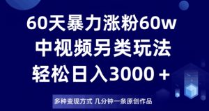 60天暴力涨粉60W,中视频另类玩法,日入3000+,几分钟一条原创作品多种变现方式-逐浪前行