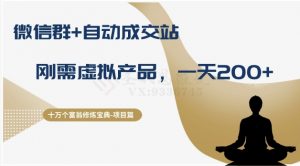 十万个富翁修炼宝典之8.微信群+自动成交站,刚需虚拟产品,一天200+-逐浪前行