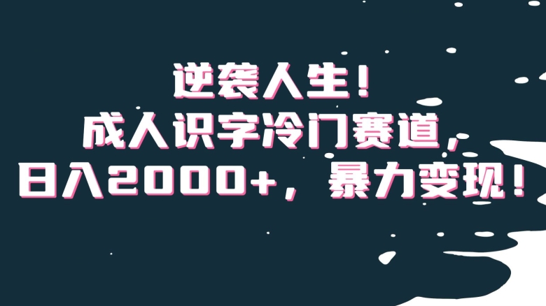 逆袭人生！成人识字冷门赛道，日入2000+，暴力变现！【揭秘】-逐浪前行