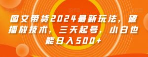 图文带货2024最新玩法，破播放技术，三天起号，小白也能日入500+【揭秘】-逐浪前行