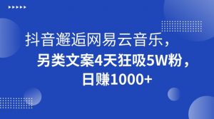 抖音邂逅网易云音乐，另类文案4天狂吸5W粉，日赚1000+【揭秘】-逐浪前行