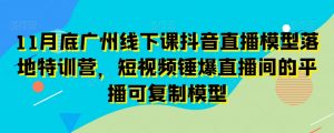 11月底广州线下课抖音直播模型落地特训营，短视频锤爆直播间的平播可复制模型-逐浪前行