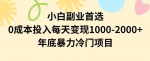 小白副业首选，0成本投入，每天变现1000-2000年底暴力冷门项目【揭秘】-逐浪前行
