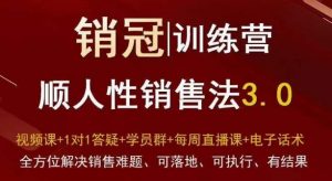 爆款!销冠训练营3.0之顺人性销售法,全方位解决销售难题、可落地、可执行、有结果-逐浪前行