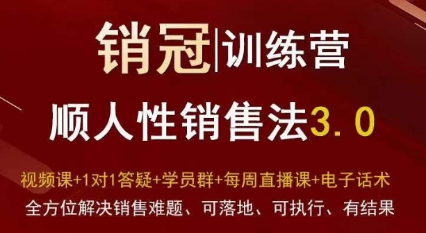 爆款！销冠训练营3.0之顺人性销售法，全方位解决销售难题、可落地、可执行、有结果-逐浪前行