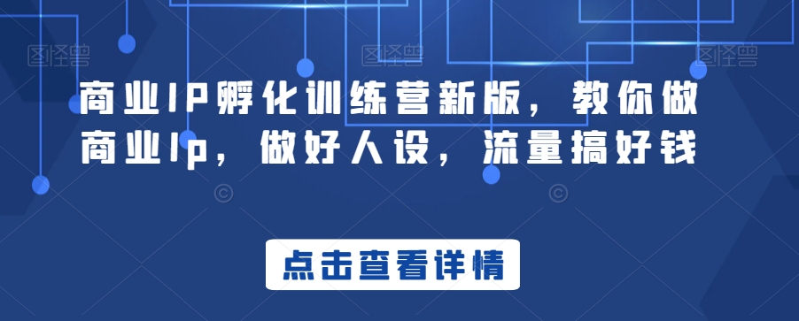 商业IP孵化训练营新版，教你做商业Ip，做好人设，流量搞好钱-逐浪前行