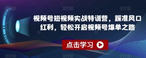 视频号短视频实战特训营,踩准风口红利,轻松开启视频号爆单之路-逐浪前行