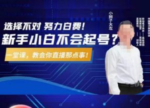 大左教您从0到1做直播带货,选择不对,努力白费,5小时课程搞定那点事,解决你起号问题-逐浪前行
