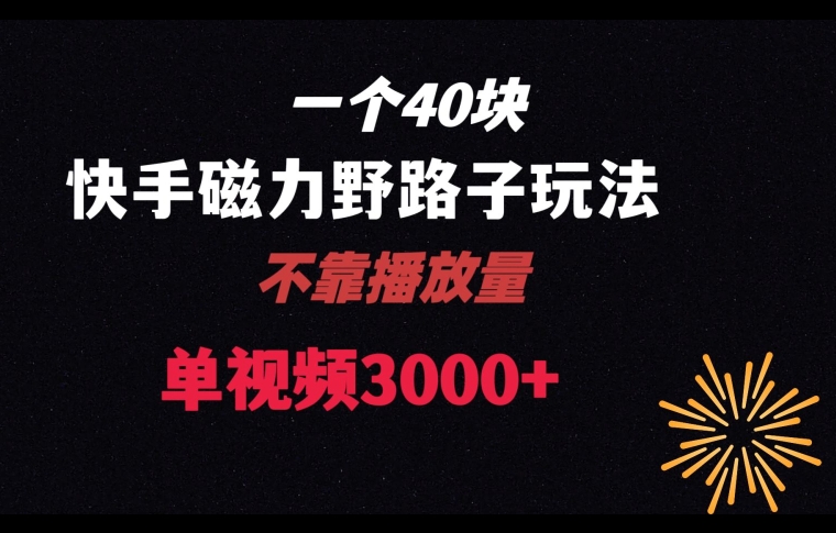 一个40块，快手联合美团磁力新玩法，无视机制野路子玩法，单视频收益4位数【揭秘】-逐浪前行