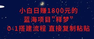 小白能日赚1800元的蓝海项目”释梦”0-1搭建流程可直接复制粘贴长期做【揭秘】-逐浪前行