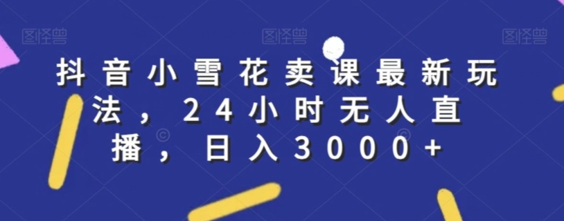 抖音小雪花卖课最新玩法，24小时无人直播，日入3000+【揭秘】-逐浪前行