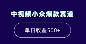 中视频小众爆款赛道，7天涨粉5万+，小白也能无脑操作，轻松月入上万【揭秘】-逐浪前行