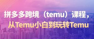 拼多多跨境(temu)课程,从Temu小白到玩转Temu-逐浪前行