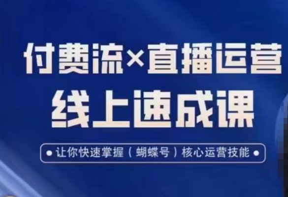 视频号付费流实操课程，付费流✖️直播运营速成课，让你快速掌握视频号核心运营技能-逐浪前行