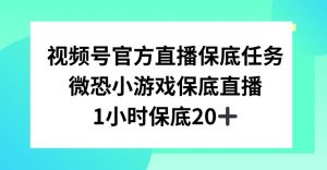 视频号直播任务，微恐小游戏，1小时20+【揭秘】-逐浪前行