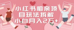 小红书相亲项目玩法拆解,有人通过这个副业项目做到了月收入2万多【揭秘】-逐浪前行