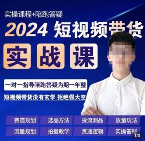 果哥·2024短视频带货实操课,赛道规划/选品方法/投流测品/放量玩法/流量规划/拍摄教学-逐浪前行
