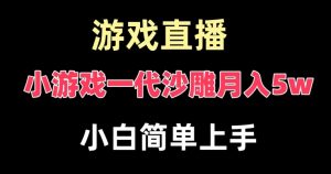 玩小游戏一代沙雕月入5w，爆裂变现，快速拿结果，高级保姆式教学【揭秘】-逐浪前行