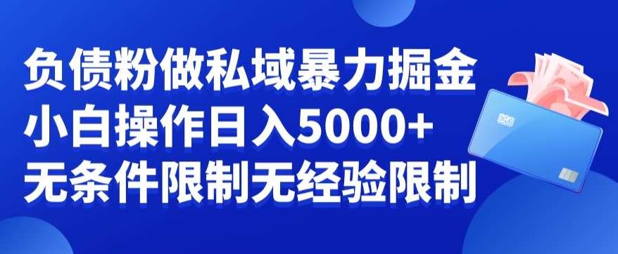 负债粉私域暴力掘金，小白操作入5000，无经验限制，无条件限制【揭秘】-逐浪前行