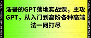 浩哥的GPT落地实战课,主攻GPT,从入门到高阶各种高端法一网打尽-逐浪前行