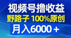 视频号野路子撸收益，100%原创，条条爆款，月入6000＋【揭秘】-逐浪前行