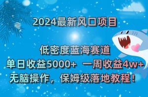 2024最新风口项目，低密度蓝海赛道，单日收益5000+，一周收益4w+！【揭秘】-逐浪前行