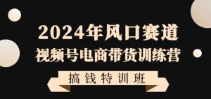 2024年风口赛道视频号电商带货训练营搞钱特训班,带领大家快速入局自媒体电商带货-逐浪前行