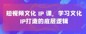短视频文化IP课,学习文化IP打造的底层逻辑-逐浪前行