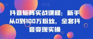 抖音矩阵实战课程:新手从0到100万粉丝,全套抖音变现实操-逐浪前行